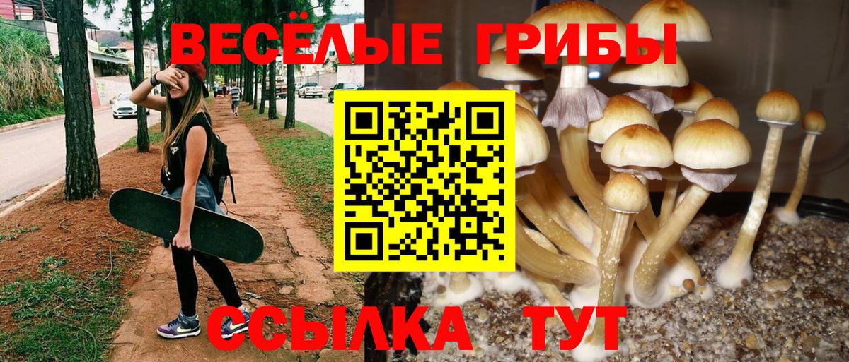 Петрозаводск  Псилоцибиновые грибы ЛСД  Псилоцибиновые грибы Cubensis  Вход с VPN 